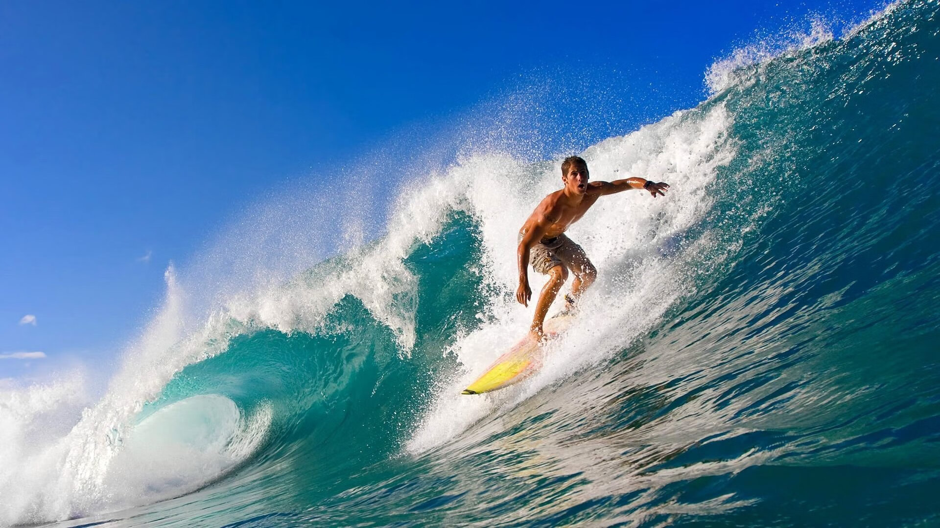 米兰体育入口-全国武术锦标赛精彩对决吸睛无数，全国武术竞赛