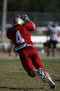 米兰体育官网平台-西甲球队利用热区分析调整防守站位,2021西甲用球