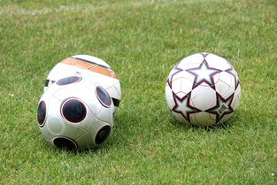 ac米兰足球官网-基层足球俱乐部资金短缺，基层足球俱乐部资金短缺的原因